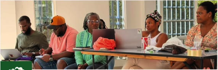 Mesa de trabajo del PCN con participantes analizando gobernanza y estructura organizativa